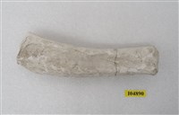 藏品(早坂犀(模))的圖片